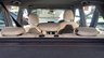 USED 2016 66 BMW X1 2.0 20d xLine Auto xDrive Euro 6 (s/s) 5dr HIGH SPEC, 2 OWNERS