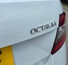 USED 2017 67 SKODA OCTAVIA 2.0 TDI Laurin & Klement Hatchback 5dr Diesel DSG Euro 6 (s/s) (150 ps) Pan roof/Sat Nav/Heated seats