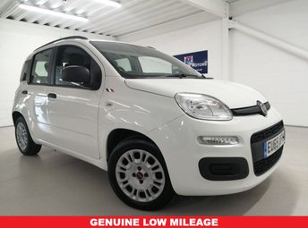 View our FIAT PANDA