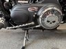 USED 2015 15 HARLEY-DAVIDSON SPORTSTER 1200 XL1200X Forty-Eight Custom Cruiser Petrol Manual (68 ps) 