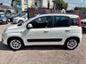 USED 2012 12 FIAT PANDA 1.2 Lounge Hatchback 5dr Petrol Manual Euro 5 (69 bhp) , LOW MILEAGE, EXCELLENT VALUE,  ALLOYS, F.S.H , LOVELY EXAMPLE, RECENT CAMBELT