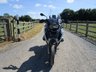 USED 2015 15 BMW R 1200 GS TU 1200 Sports Tourer Petrol Manual (125 ps) 