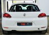 USED 2014 14 VOLKSWAGEN SCIROCCO 2.0 TDI BlueMotion Tech Hatchback 3dr Diesel DSG Euro 5 (s/s) (Nav) (140 ps) 10 STAMP SERVICE HISTORY! 1 YR MOT!