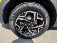 USED 2023 23 KIA SPORTAGE 1.6 T-GDi 2 SUV 5dr Petrol Manual Euro 6 (s/s) (148 bhp) 
