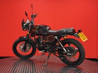 USED 2022 22 AJS Tempest Scrambler TRADE BIKES AT TRADE PRICES JUST 1 OWNER
