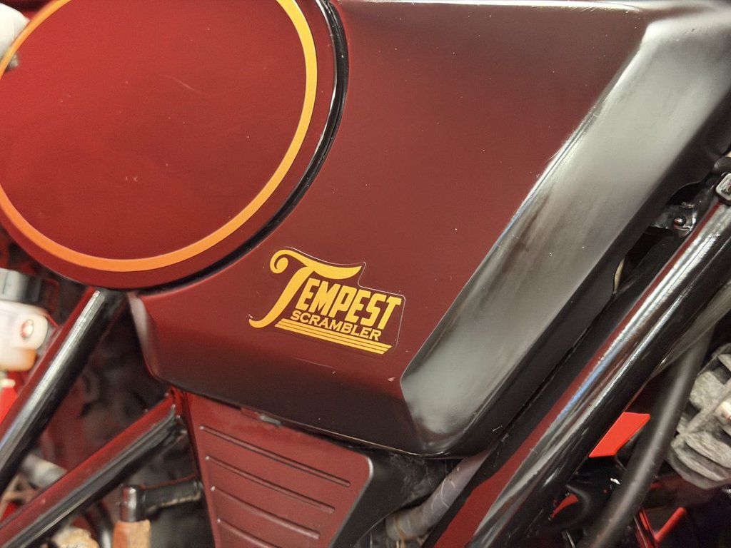 USED 2022 22 AJS Tempest Scrambler TRADE BIKES AT TRADE PRICES JUST 1 OWNER