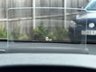 USED 2018 18 MITSUBISHI ECLIPSE CROSS 1.5 Eclipse Cross 4 4x4 CVT 4WD 5dr Parking Camera Heated Seats