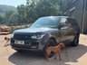 USED 2017 17 LAND ROVER RANGE ROVER 3.0 TD V6 Autobiography SUV 5dr Diesel Auto 4WD Euro 6 (s/s) (258 ps) 