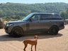 USED 2017 17 LAND ROVER RANGE ROVER 3.0 TD V6 Autobiography SUV 5dr Diesel Auto 4WD Euro 6 (s/s) (258 ps) 