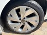 USED 2021 21 VOLKSWAGEN GOLF 1.5 TSI Style Hatchback 5dr Petrol Manual Euro 6 (s/s) (130 ps) 6 SERVICES - A LOVELY CONDITION CAR