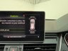 USED 2019 68 AUDI Q5 2.0 TDI 40 Black Edition SUV 5dr Diesel S Tronic quattro Euro 6 (s/s) (190 ps) 