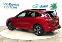 USED 2020 70 FORD KUGA 1.5T EcoBoost ST-Line X First Edition SUV 5dr Petrol Manual Euro 6 (s/s) (150 ps) Panoramic Roof, SATNAV, CarPlay, Full Parking Sensors, Cruise Control, 51000 Miles Ford Service History & Heated Seats