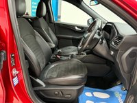 USED 2020 70 FORD KUGA 1.5T EcoBoost ST-Line X First Edition SUV 5dr Petrol Manual Euro 6 (s/s) (150 ps) Panoramic Roof, SATNAV, CarPlay, Full Parking Sensors, Cruise Control, 51000 Miles Ford Service History & Heated Seats