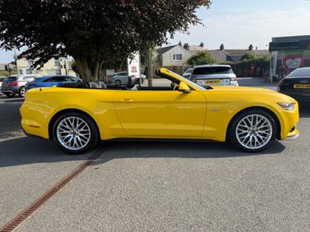 View our FORD MUSTANG