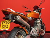USED 2006 56 HONDA CB600F HORNET TRADE BIKES AT TRADE PRICES MIVV EXHAUST