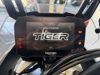 USED 2022 22 TRIUMPH TIGER 900 900 Rally Pro Adventure Petrol Manual O-ring Euro 5 (95 ps) 