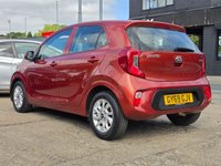 USED 2019 69 KIA PICANTO 1.25 2 Hatchback 5dr Petrol Auto Euro 6 (83 bhp) AUTO + LOW INSURANCE + LOW MILES 8K + FSH + AC + SENSORS