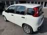USED 2014 14 FIAT PANDA 1.2 Pop Hatchback 5dr Petrol Manual Euro 6 (69 bhp) Service History &pound;35 Tax