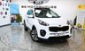 USED 2018 67 KIA SPORTAGE 2.0 CRDi KX-5 SUV 5dr Diesel Auto AWD Euro 6 (182 bhp) +FREE 6 MONTHS NATIONWIDE WARRANTY+