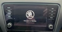 USED 2017 17 SKODA OCTAVIA 1.4 TSI SE Hatchback 5dr Petrol DSG Euro 6 (s/s) (150 ps) 