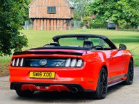 USED 2016 16 FORD MUSTANG 2.3T EcoBoost Convertible 2dr Petrol SelShift Euro 6 (317 ps) LEATHER+CAMERA+E/HOOD++ULEZ++