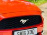 USED 2016 16 FORD MUSTANG 2.3T EcoBoost Convertible 2dr Petrol SelShift Euro 6 (317 ps) LEATHER+CAMERA+E/HOOD++ULEZ++