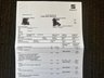 USED 2019 19 SEAT ARONA 1.0 TSI FR Euro 6 (s/s) 5dr Full Service History / Eclispe