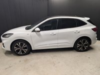 USED 2022 22 FORD KUGA 1.5T EcoBoost ST-Line X Edition SUV 5dr Petrol Manual Euro 6 (s/s) (150 ps) Sunroof, Heated Seats, Rear Cam