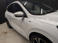 USED 2022 22 FORD KUGA 1.5T EcoBoost ST-Line X Edition SUV 5dr Petrol Manual Euro 6 (s/s) (150 ps) Sunroof, Heated Seats, Rear Cam