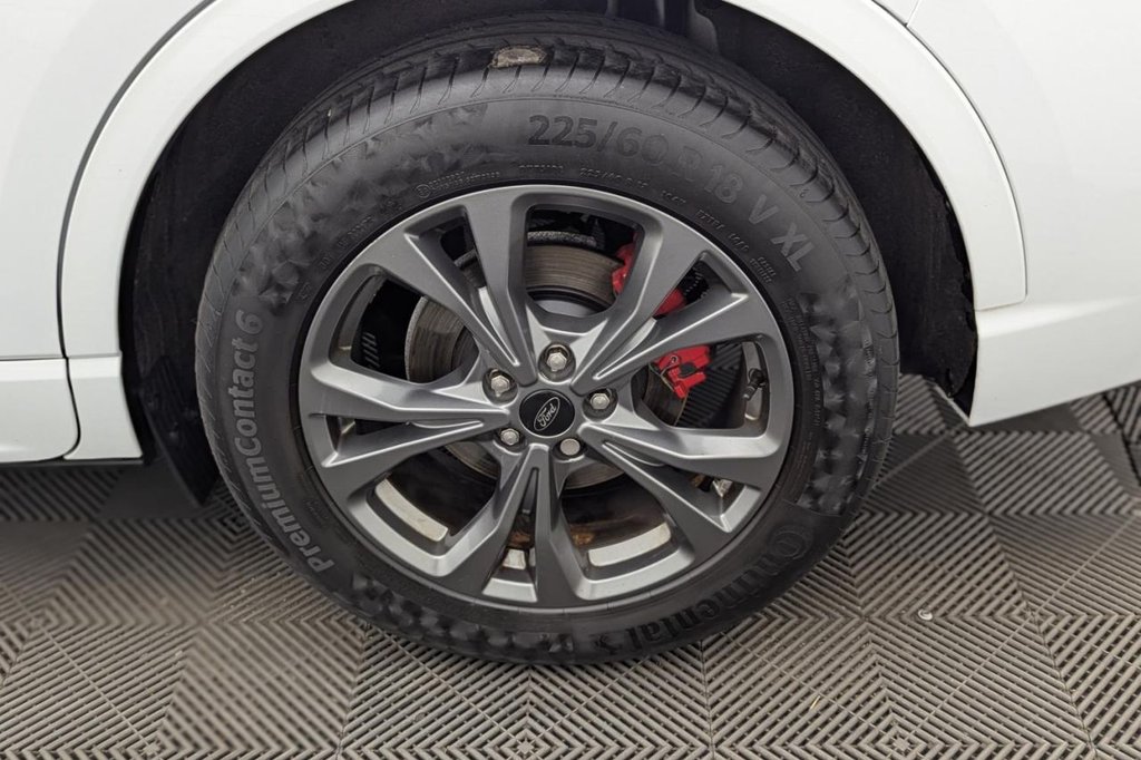 USED 2023 23 FORD KUGA 1.5T EcoBoost ST-Line Edition SUV 5dr Petrol Manual Euro 6 (s/s) (150 ps) Car Play, Sat Nav, Camera