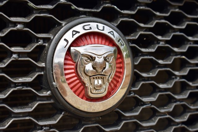 View our JAGUAR F-PACE
