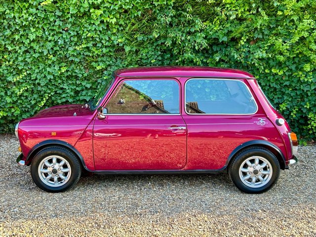 View our ROVER MINI