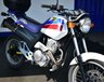 USED 1997 HONDA SLR650 644cc A very hard to find, retro on/off road bike with plenty of power and fun to ride.