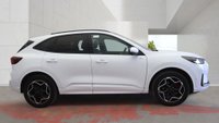 USED 2024 74 FORD KUGA 2.5 Duratec 14.4kWh ST-Line X SUV 5dr Petrol Plug-in Hybrid CVT Euro 6 (s/s) (243 ps) CAT 'S' 