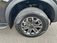 USED 2024 24 FORD RANGER 2.0 TD EcoBlue Wildtrak Pickup Double Cab 4dr Diesel Auto 4WD Euro 6 (s/s) (205 ps) GREAT VALUE WITH NO VAT ON THE PRICE
