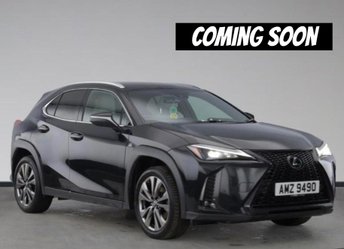 2023 LEXUS UX