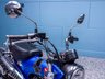 USED 2024 74 HONDA DAX 125 ST 125 Roadster/Retro Semi Auto Euro 5  Nationwide Delivery &pound;149 - 9.9% APR