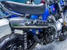 USED 2024 74 HONDA DAX 125 ST 125 Roadster/Retro Semi Auto Euro 5  Nationwide Delivery &pound;149 - 9.9% APR