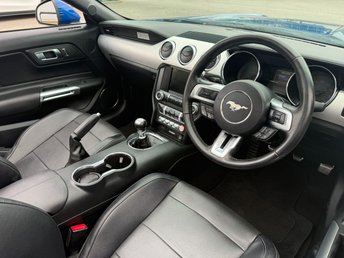 View our FORD MUSTANG