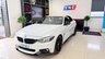 USED 2019 19 BMW 4 SERIES 2.0 420d M Sport Auto Euro 6 (s/s) 2dr PERFORMANCEKIT+MPLUS&COMFORTPK