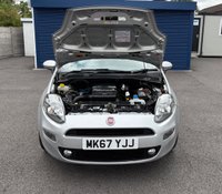 USED 2017 67 FIAT PUNTO 1.4 Easy + Hatchback 5dr Petrol Euro 6 (s/s) (77 bhp) ESATABLISHED FOR OVER 33 YEARS.