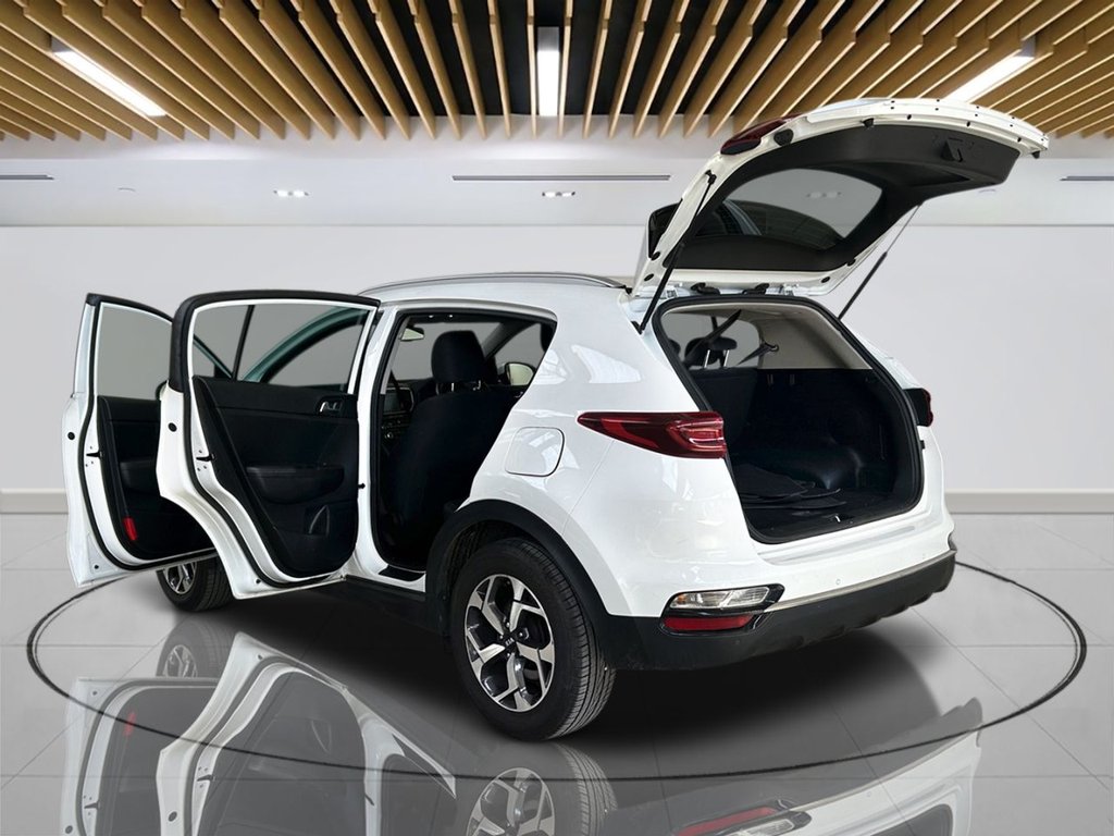 2019 Kia Sportage — image 6