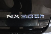 USED 2021 21 LEXUS NX 2.5 300h GPF E-CVT 4WD Euro 6 (s/s) 5dr Panoramic Roof, Rev Cam,