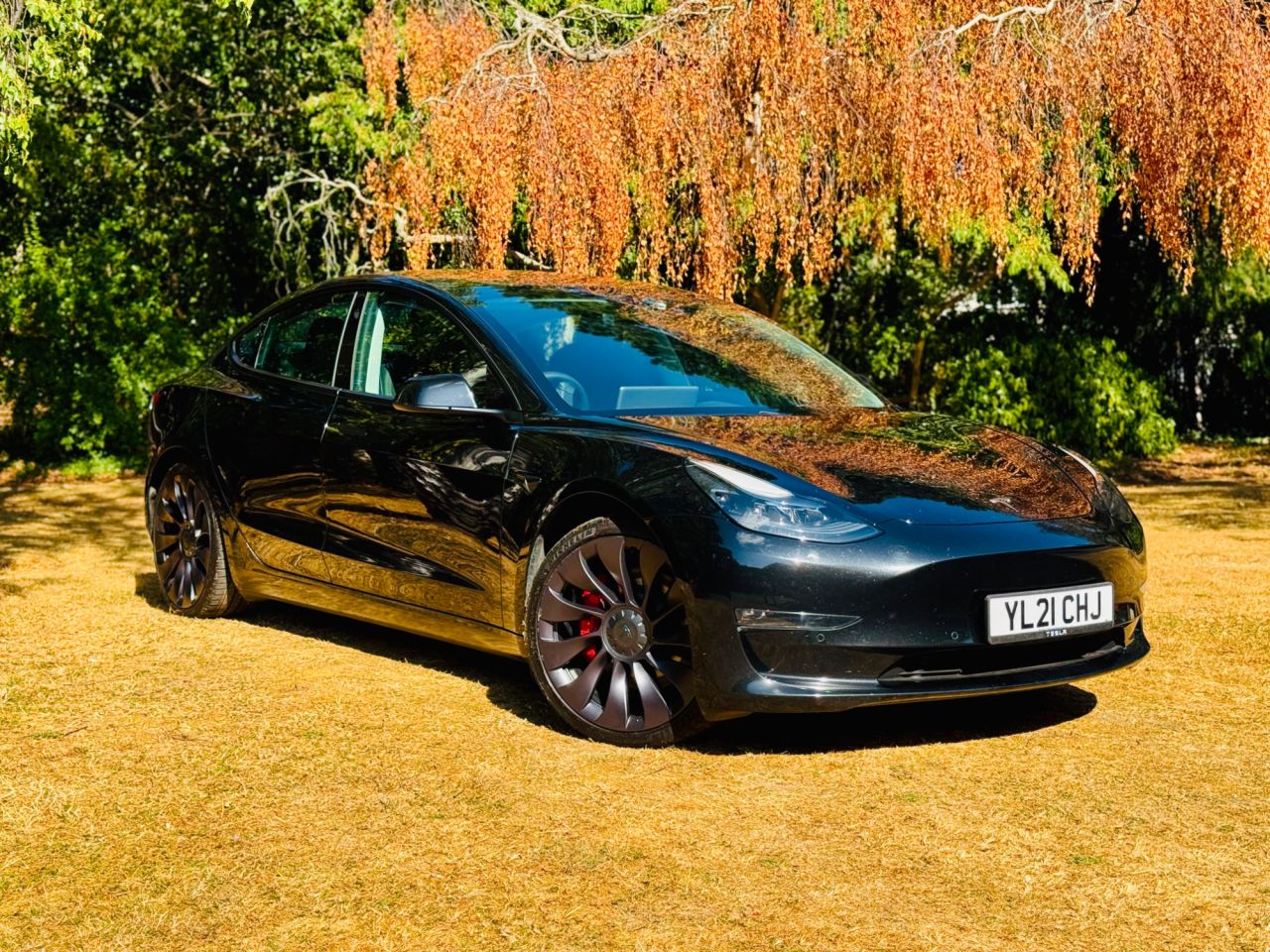 2021 TESLA MODEL 3