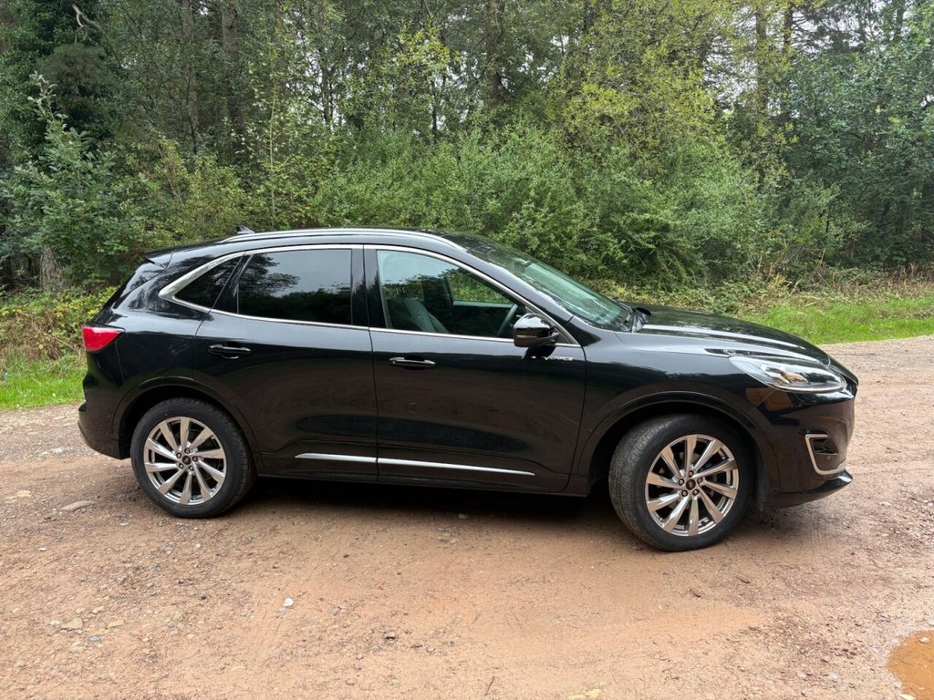 2024 Ford Kuga