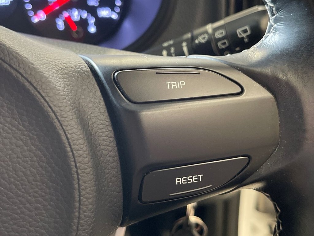 2019 Kia Picanto — image 20