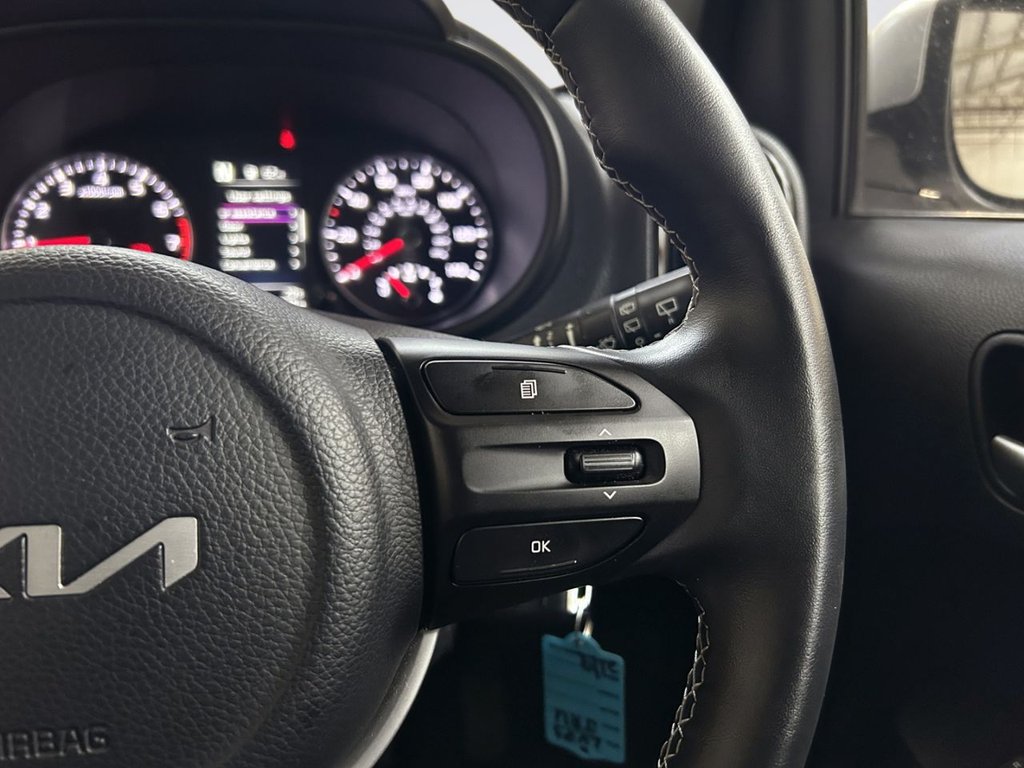 2023 Kia Picanto — image 13