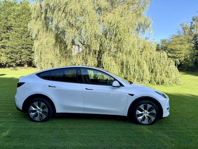 2024 Tesla MODEL