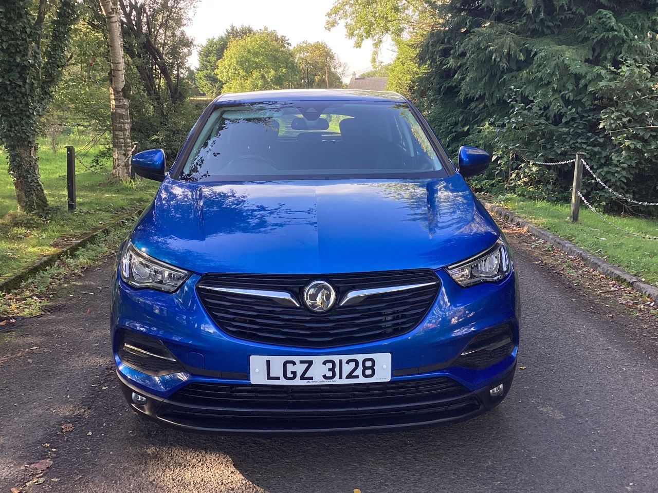 2018 VAUXHALL GRANDLAND X 1.2 Turbo SE SUV 5dr Petrol Manual Euro 6 (s/s) (130 ps) - vehicle photo 10 for sale on PureCar