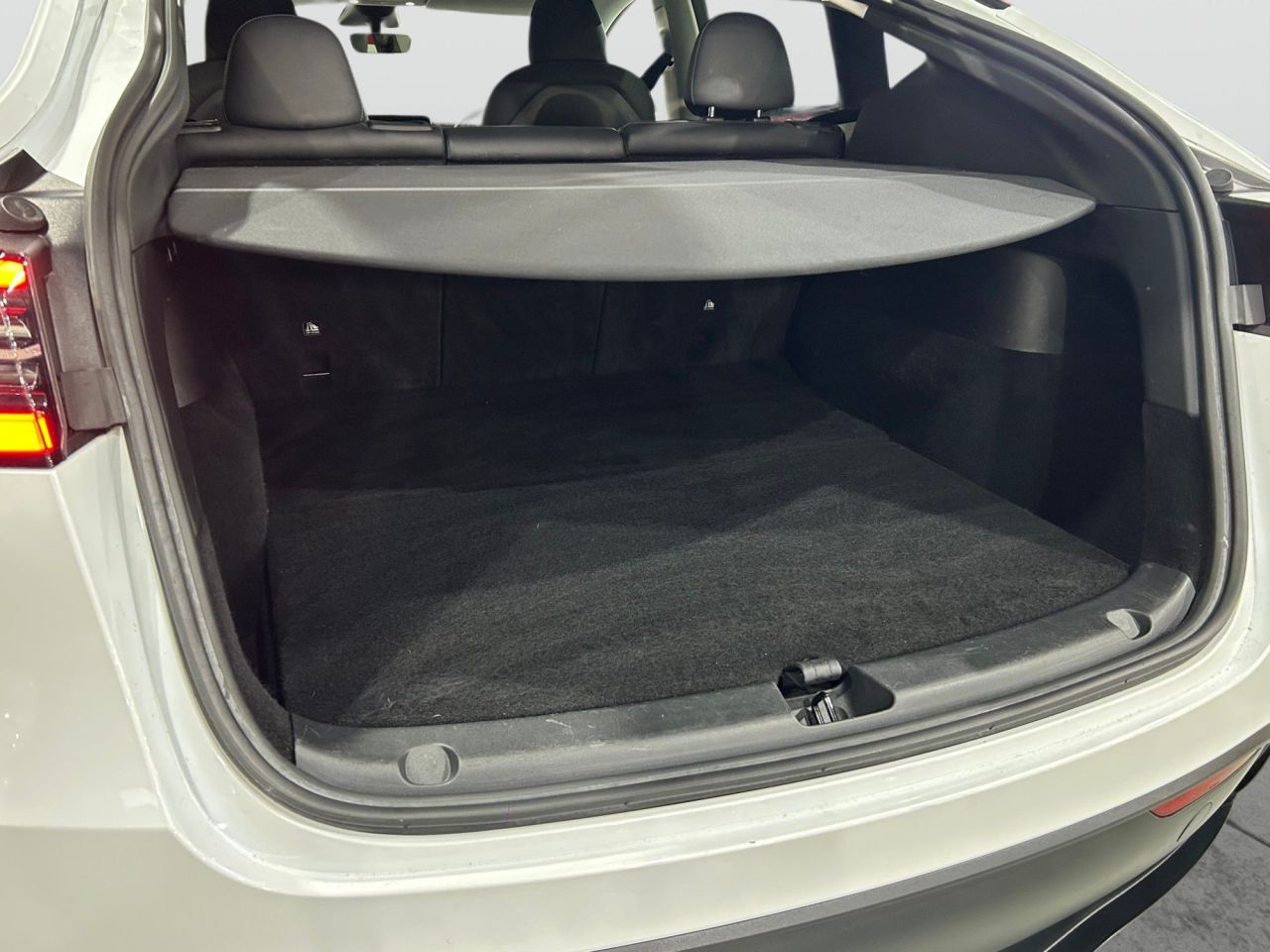 2023 73 TESLA MODEL Y